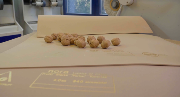 Walnüsse auf dem EVA Material Lunatur Walnut, das zu einem Teil aus gemahlenen Walnussschalen besteht