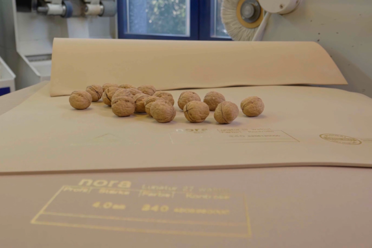 Walnüsse auf dem EVA Material Lunatur Walnut, das zu einem Teil aus gemahlenen Walnussschalen besteht